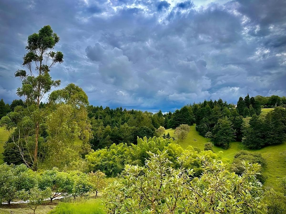 Oeroek Hotel Ριονέγρο Εξωτερικό φωτογραφία